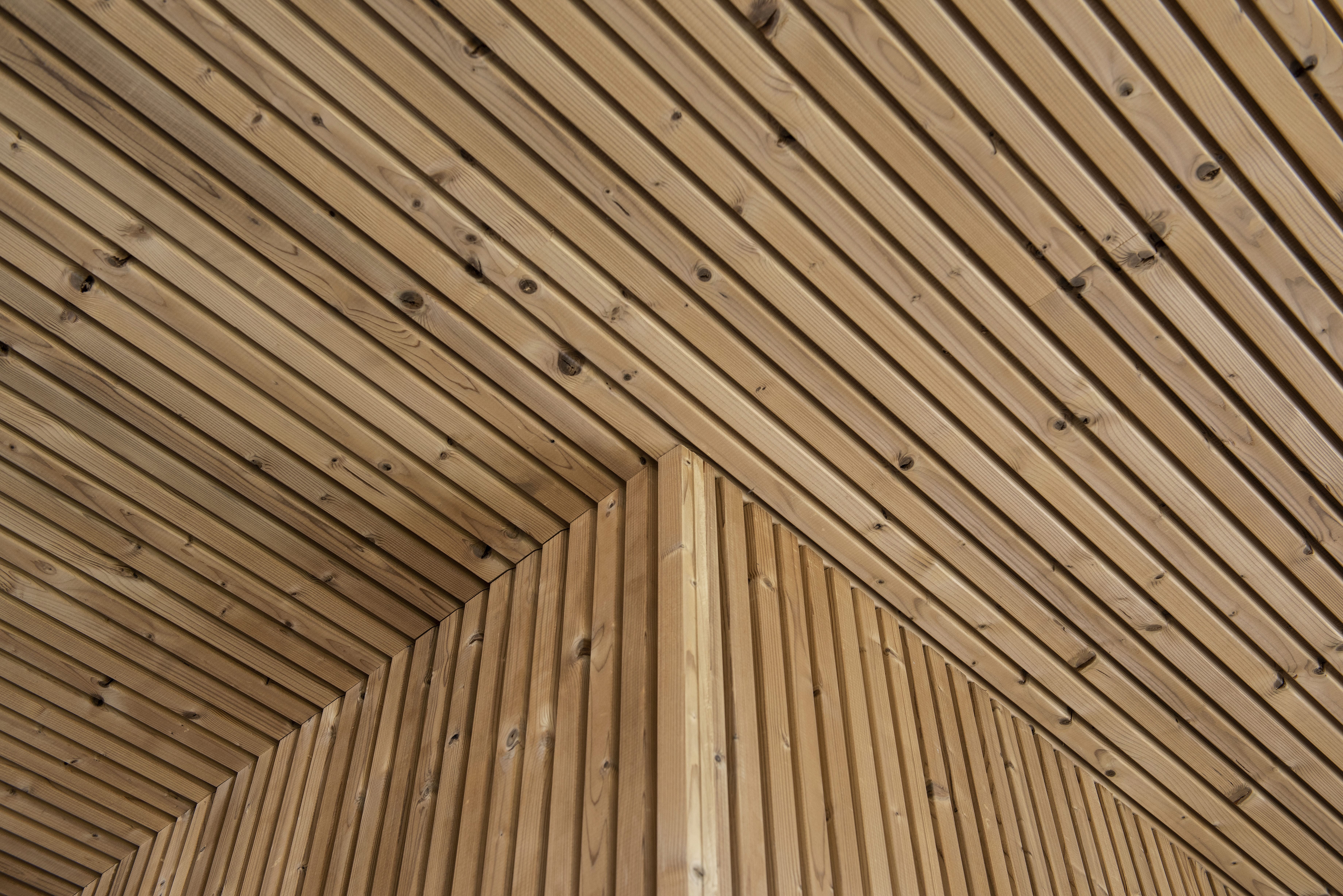 Lunawood_Thermowood_Facade_Lohjan Saarenta_Finland_2021_3 (2)